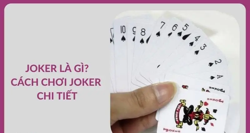 Bài Joker Là Gì? Khám Phá Bí Ẩn Lá Bài Kỳ Lạ Bài Joker Là Gì? Khám Phá Bí Ẩn Lá Bài Kỳ Lạ