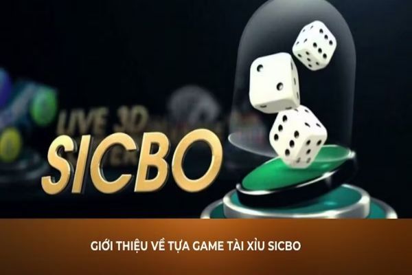 Sicbo Tài Phú 789bet Khám Phá Thế Giới Xóc Đĩa Trực Tuyến